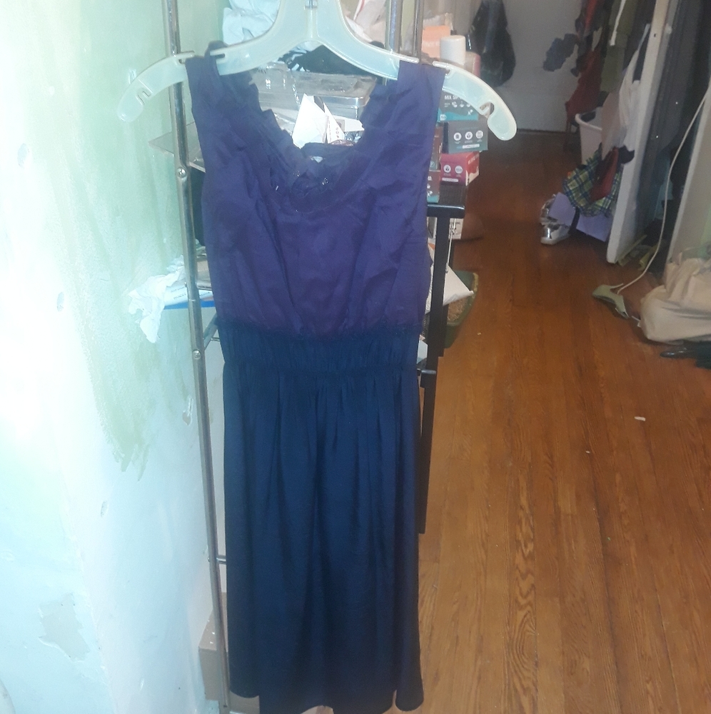 Vera Wang raw silk plum and black dress!